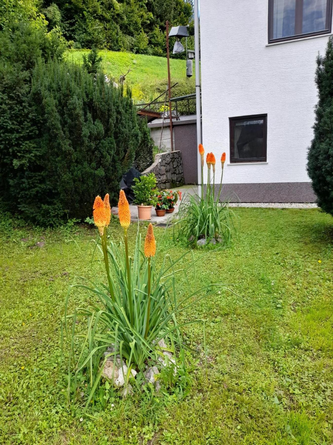 Apartment Gogo Delnice