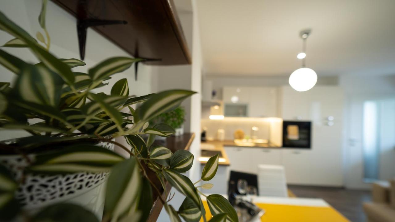 Apartment Gogo *